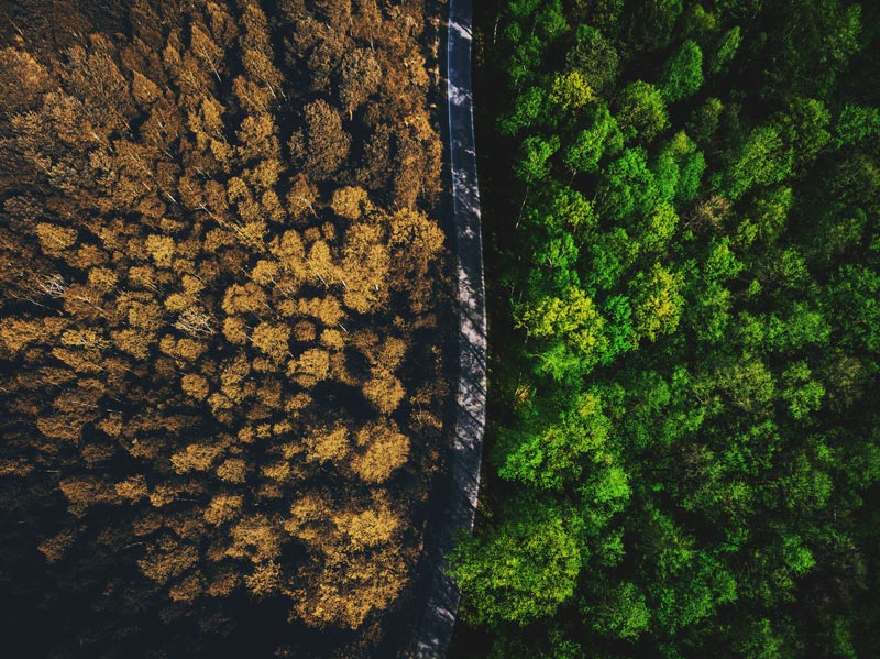 Man grande strada verso la sostenibilità